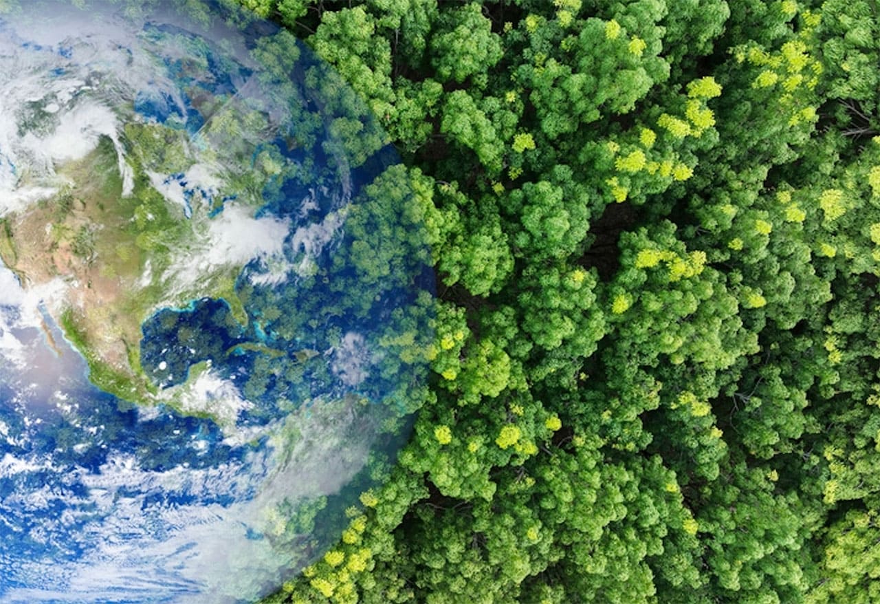 Foundation 4 A Spark for Human Evolution