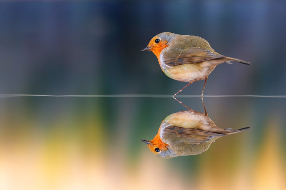 Foundation 1 Advancement in Awareness