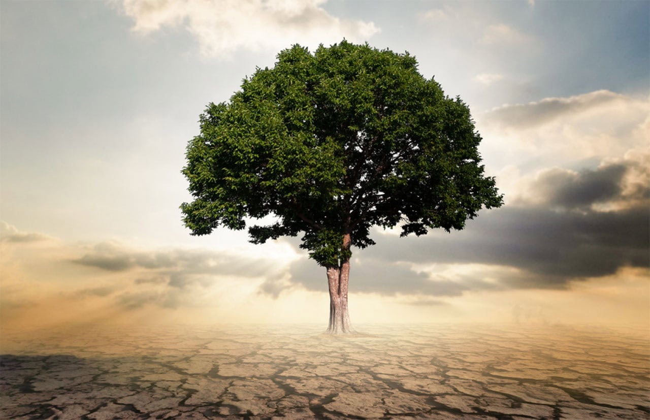 Hub 2 Leading Authentically and Courageously