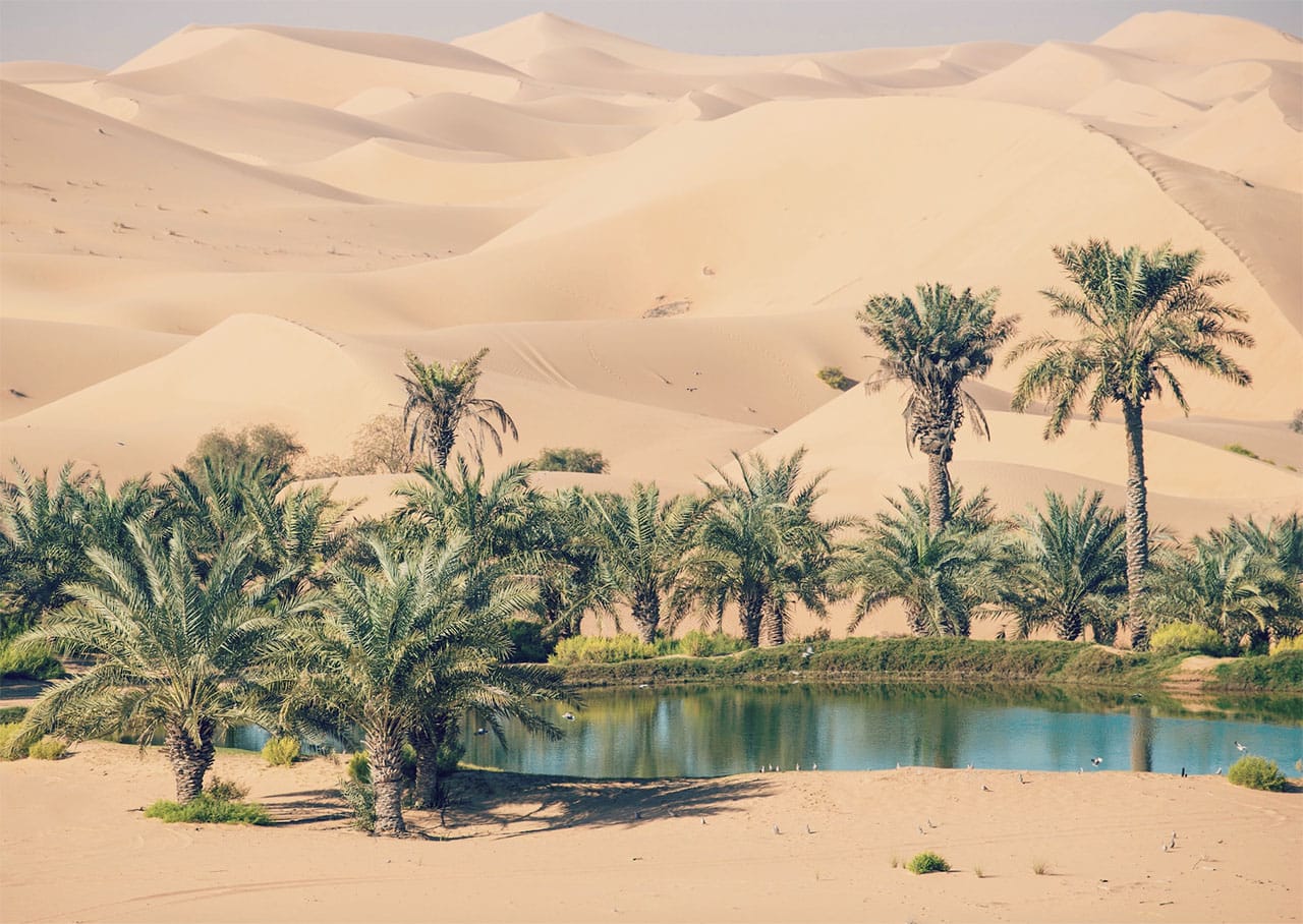 Hub 1 A Vibrating Hub for Exchange and Community